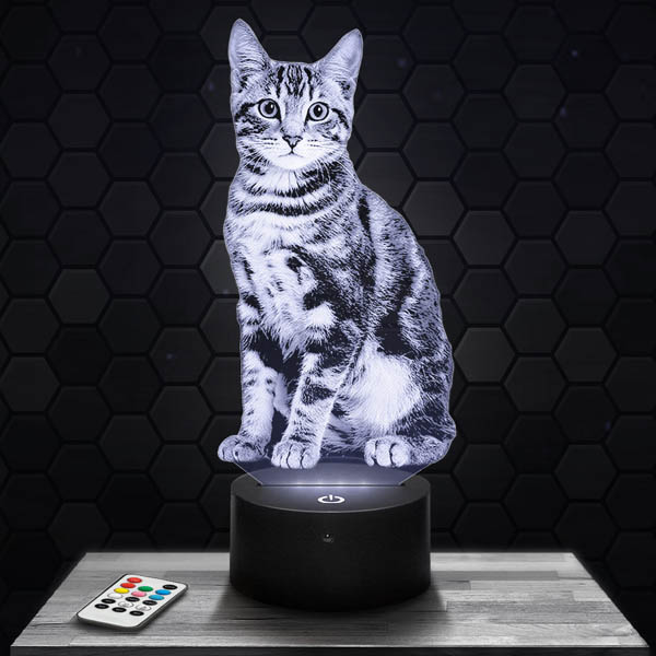 lampe-3d-chat-600